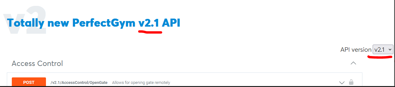 api versioning